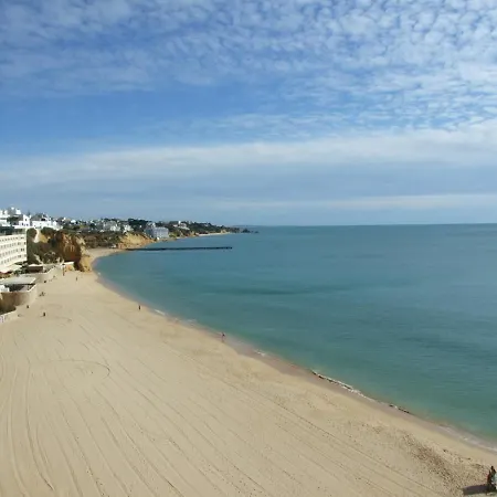 1 Bed With Pool In Apartamento *